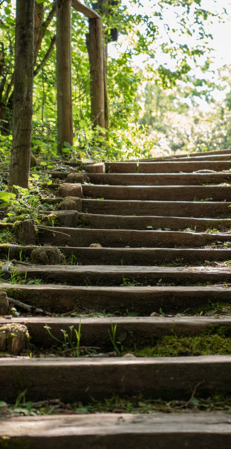 Bild Treppe im Freien